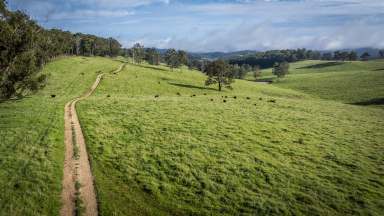 Farm Tender - NSW - Yarrowitch - 2354 - McPhee Beef Farms, Yarrowitch & Walcha: Size - Scale - Climate - Location  (Image 2)