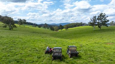 2697 Kangaroo Flat Road, Yarrowitch NSW 2354