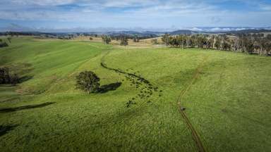 Farm Tender - NSW - Yarrowitch - 2354 - McPhee Beef Farms, Yarrowitch & Walcha: Size - Scale - Climate - Location  (Image 2)