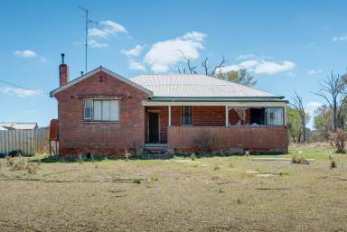 Farm For Sale - NSW - Goulburn - 2580 - GREAT RURAL RENOVATOR  (Image 2)