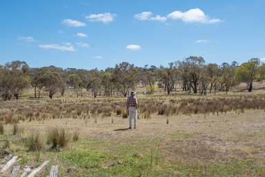 Farm For Sale - NSW - Goulburn - 2580 - GREAT RURAL RENOVATOR  (Image 2)