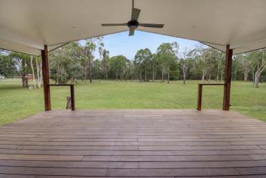 Farm For Sale - QLD - Nikenbah - 4655 - Acreage & House Close to Town  (Image 2)