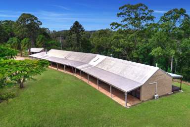 Farm For Sale - QLD - Ridgewood - 4563 - Rare 263 acre Land Holding in the Noosa Hinterland  (Image 2)