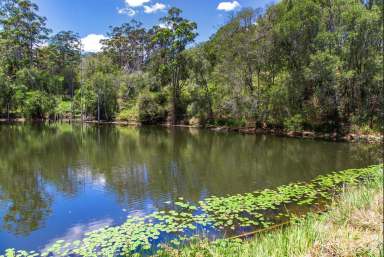 Farm For Sale - QLD - Ridgewood - 4563 - Rare 263 acre Land Holding in the Noosa Hinterland  (Image 2)