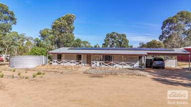 Farm For Sale - WA - Toodyay - 6566 - Peaceful Country Living – 4x2 Home on 5.85 Acres – Under $700K!  (Image 2)