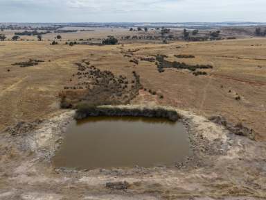 Farm For Sale - WA - Beverley - 6304 - 204 Acres of Prime Avon Valley Land – Farming & Lifestyle Appeal  (Image 2)