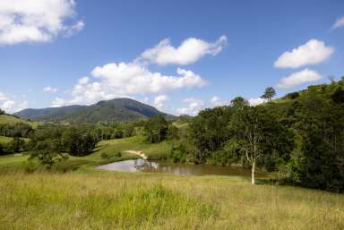 Farm For Sale - NSW - Mount George - 2424 - 'Oakdale'  (Image 2)