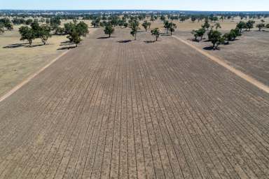 Farm For Sale - VIC - Harrow - 3317 - "Plover Park"  (Image 2)