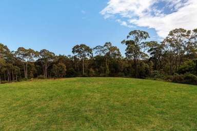 Farm For Sale - NSW - Belmont North - 2280 - Create a Grand Design and Live Life on a Natural 2.5 Hectare Oasis  (Image 2)