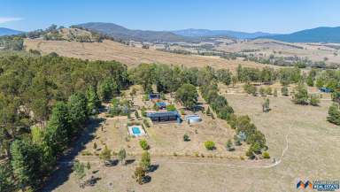 Farm For Sale - VIC - Mudgegonga - 3737 - Secluded Sanctuary on 198 Acres  (Image 2)