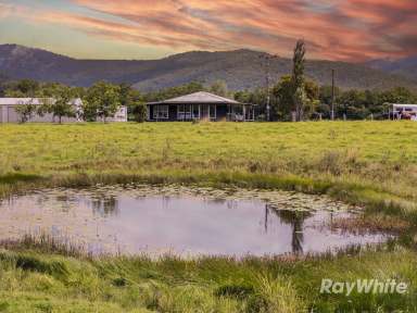 Farm For Sale - NSW - Bulahdelah - 2423 - Productive Cattle Country  (Image 2)