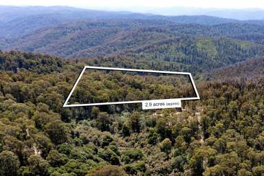 Farm For Sale - VIC - Walhalla - 3825 - Secluded Bush Retreat in Historic Walhalla  (Image 2)