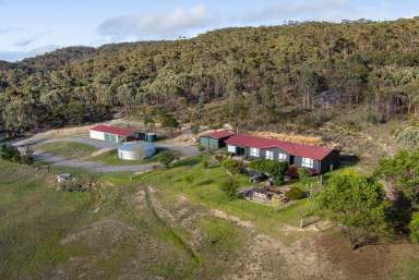 Farm For Sale - NSW - Goulburn - 2580 - Luxe Country Living with Adventure at Your Doorstep  (Image 2)