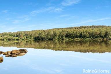 Farm For Sale - NSW - Longreach - 2540 - Exclusive Riverfront Property with Exceptional Privacy & Potential  (Image 2)