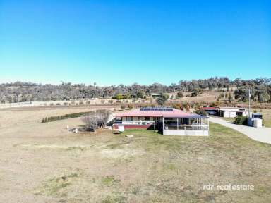 Farm For Sale - NSW - Warialda - 2402 - MOUNTAIN VIEW  (Image 2)