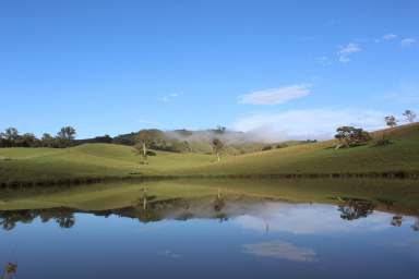 Farm Auction - NSW - Bakers Creek - 2422 - Gateway Farms - 'Three Pines'  (Image 2)