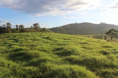 Farm Auction - NSW - Bakers Creek - 2422 - Gateway Farms - 'Three Pines'  (Image 2)