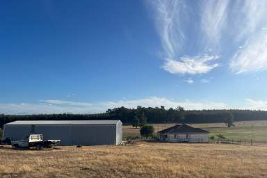 Farm For Sale - WA - Manjimup - 6258 - West Manjimup Heartland 46.51 Ha* (approx. 115 Ac*)  (Image 2)