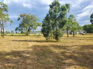 Farm For Sale - NSW - Muswellbrook - 2333 - FULLY SERVICED ACREAGE LOT NESTLED AWAY WITH IT&apos;S OWN PRIVATE ACCESS AND OFFERING A LOT OF SPACE 4,021 SQM  (Image 2)