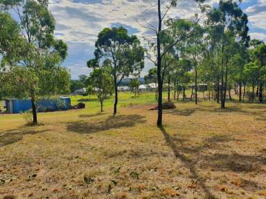 Farm For Sale - NSW - Muswellbrook - 2333 - FULLY SERVICED ACREAGE LOT NESTLED AWAY WITH IT&apos;S OWN PRIVATE ACCESS AND OFFERING A LOT OF SPACE 4,021 SQM  (Image 2)