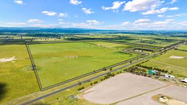 Farm For Sale - VIC - Glengarry - 3854 - Ideal turnout paddock or fodder production.  (Image 2)