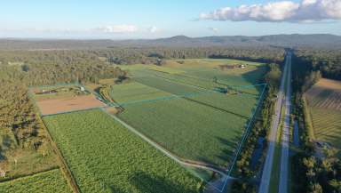 Farm For Sale - NSW - Mororo - 2469 - 25km from Yamba - Lifestyle, Hipcamp or Mixed Farming Opportunity!  (Image 2)