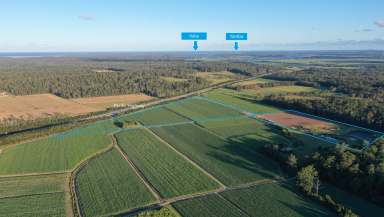 Farm For Sale - NSW - Mororo - 2469 - 25km from Yamba - Lifestyle, Hipcamp or Mixed Farming Opportunity!  (Image 2)