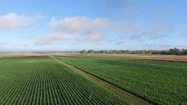 541 Mahons Road, Coominya QLD 4311