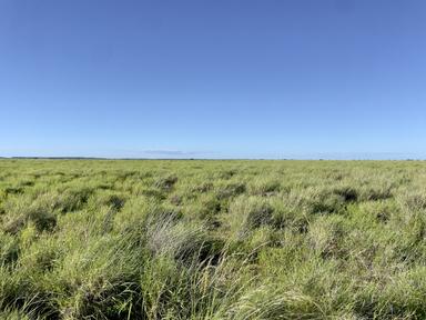 Tulmur Aggregation, Winton QLD 4735