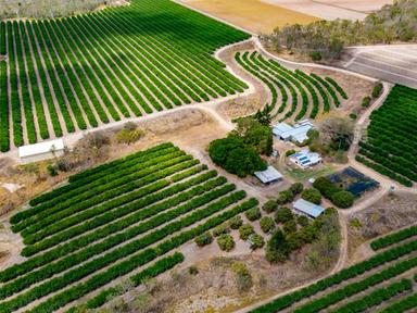 402 TINAROO CREEK ROAD, Mareeba QLD 4880