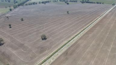 Waroo Road , Corinella NSW 2871