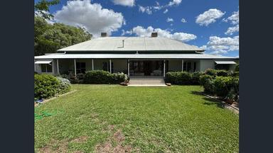 16589 Thomson Developmental Road, Longreach QLD 4730