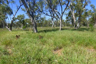 4631 Middle Creek Road, Langlo QLD 4470