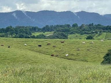 East Palmerston QLD 4860