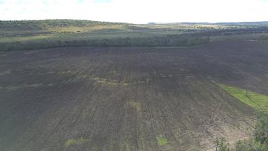 Lot 190, Lonesome Creek QLD 4719
