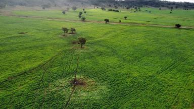 302 Glenbrook Road, Manilla NSW 2346