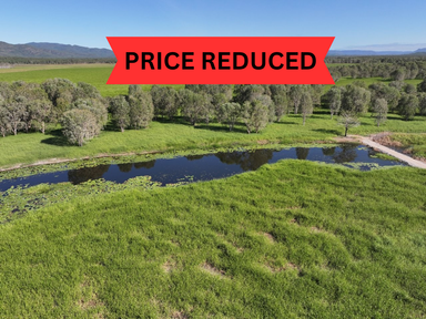 Pomona Road, Ingham QLD 4850