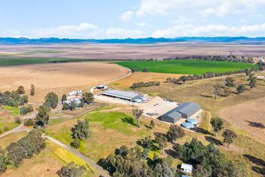 Wallamar, Willow Tree NSW 2339