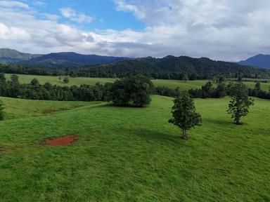 720 Pullom Road, Nerada QLD 4860