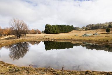175 Tumbledown Road, Peak View NSW 2630