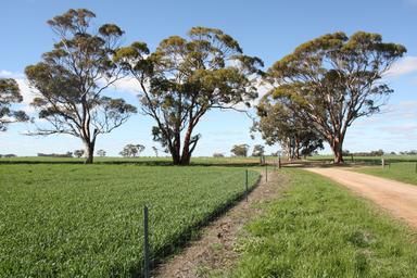 Lot 14 Calingiri-Goomalling Road , Calingiri WA 6569