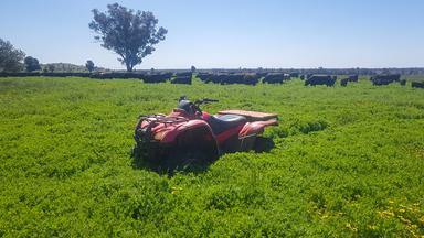 5128 Tooraweenah Road, Gulargambone NSW 2828