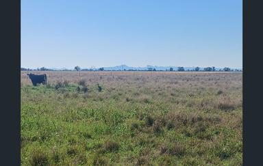 795 Armatree Road, Armatree NSW 2828