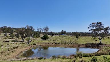 1385 Mosquito Creek Road, Warialda NSW 2402