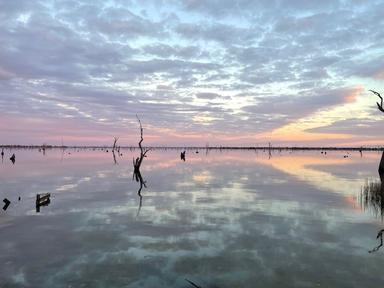 Perm 100ML 10 GS NSW Murray River, Mulwalla NSW 2647