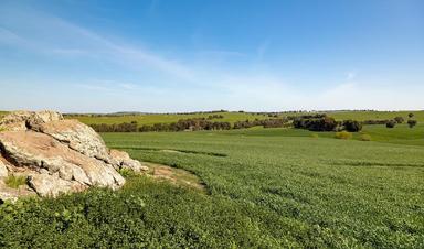 246 Wantabadgery Road , Wantabadgery NSW 2650