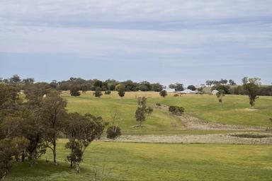 GLENROY, Wallendbeen NSW 2588