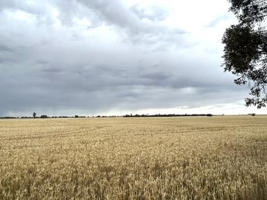 Halls Road, Nhill VIC 3418