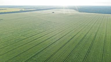 3531 Goodar Road , Goodar QLD 4390