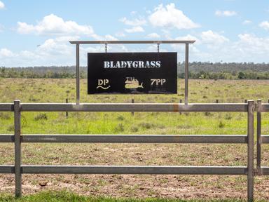 'Blady Grass', Taroom QLD 4420